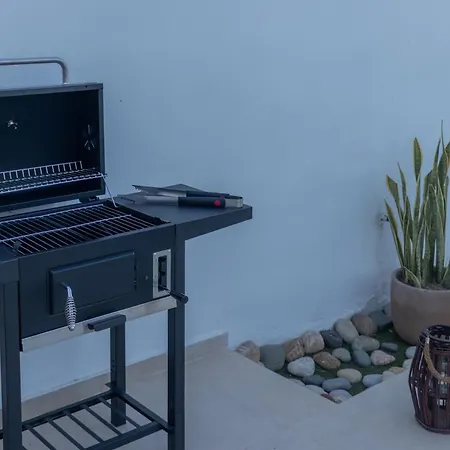 Summer Dream Willa *