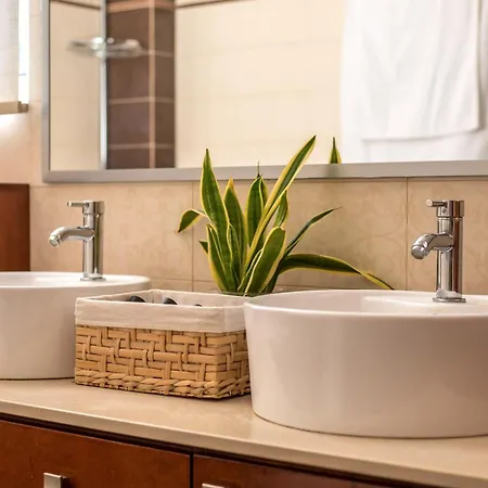 فيلة Summer Dream